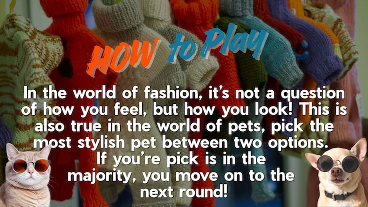 Stylish Pets image number null